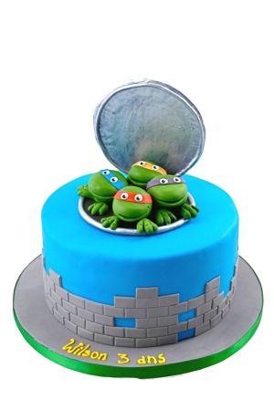 Gâteau anniversaire Tortues Ninja